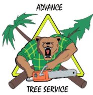 advancetreeservicepros.com